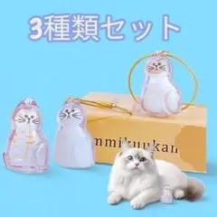 Item thumbnail for item 28c71030-403c-4611-b82b-8b21902d6248