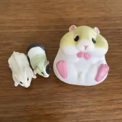 ハムスターセット