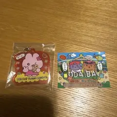 チェゴシム お台場 アクリルチャーム