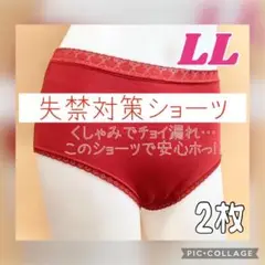 【LL】2枚❤︎未開封❤︎尿漏れ パンツ❤︎失禁 対策 女性用 ショーツ