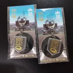 【新品未開封/激レア甲子園の土】阪神甲子園球場 100周年 限定キーホルダー