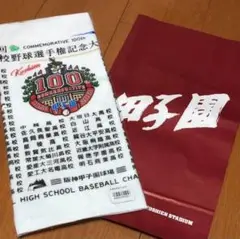近江高校 硬式野球部　非売品！スローガンタオル！応援タオル！2024年夏 甲子園 61HbPSSqcOL._UF350,350_QL50_.jpg