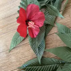 ❤️From Hawaii マイレレイ