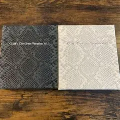 【最安値】GLAY The Great Vacation vol1 & vol2