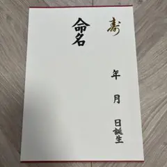 命名書　用紙のみ　A4サイズ