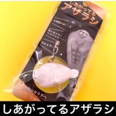 【新品】しあがってるアザラシ キーホルダー 須磨シーワールド 岩本照