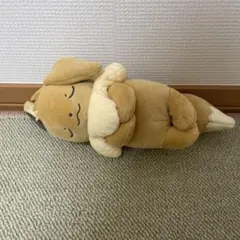 すやすやフレンド イーブイ