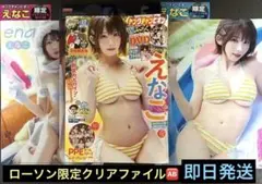 えなこ　ヤングチャンピオン　No17 DVD ローソンクリアファイル2種付