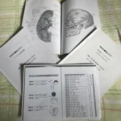 ソーラ　ヒーリング【 SOLA HEALING SEMINAR DVD 】4枚組 ソーラ ヒーリングセミナー アチューメント】橋本典之 整体DVD