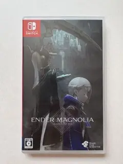 Switch版 エンダーマグノリア（美品）