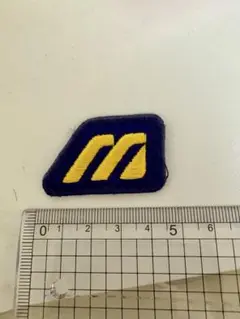 ミズノ　ワールドウィン　グローブ ワッペン