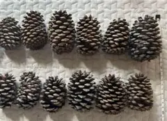 Item thumbnail for item 12ed337a-8c6b-4f67-bf2c-6b25f0fff57a