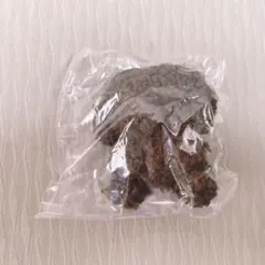 じょせまる ガチャ 黒