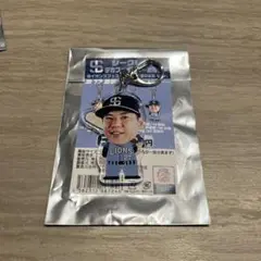 【即日発送】炭谷銀仁朗 シークレットデカフェイスキーホルダー 埼玉西武ライオンズ