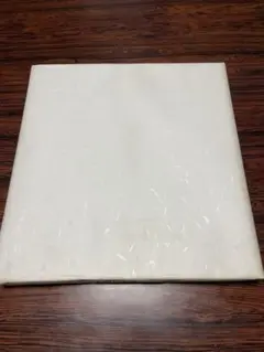 Item thumbnail for item a2a0fc41-c901-40fd-85a2-00bbeaa6457c