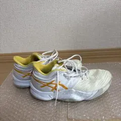 Item thumbnail for item b550edab-e3c1-4887-8109-a0795ed7c05f