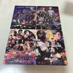 RIZIN ポテトスティック　カード