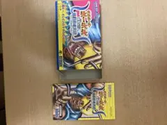 ボボボーボ・ボーボボ　爆裂鼻毛真拳　箱、説明書のみ