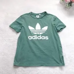 アディダス 半袖プリントTシャツ カットソー トップス シンプル カジュアル 緑
