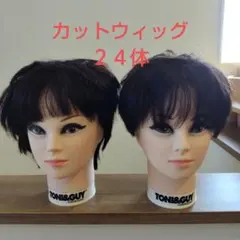 Item thumbnail for item a7cedb66-1b57-4a75-bc38-5984913760eb