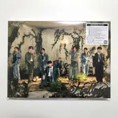 Stray Kids Hollow 初回生産限定盤A チェックインマイル付