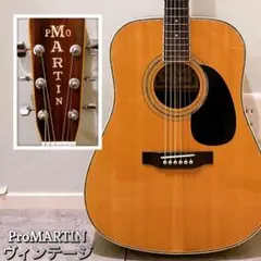 希少★縦ロゴ★廃盤★プロ マーティン エレアコ アコースティックギター アコギ