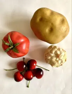 食品サンプル　野菜他セット