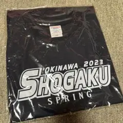 沖縄尚学 ベースボールTシャツ 野球 Tシャツ 選抜甲子園 2023