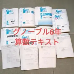 グノーブル　夏期特別特訓　女子学院　2023夏 2025年最新】グノーブル 夏期講習の人気アイテム - メルカリ