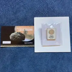 Item thumbnail for item 359e9311-ce9b-4346-80a4-cb8b0dc32520