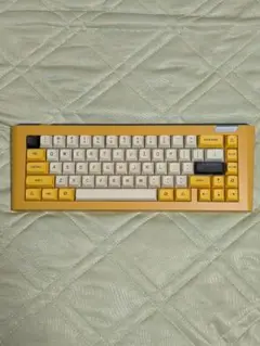 【週末限定価格】自作キーボード Capsule