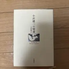 小沢健二の帰還