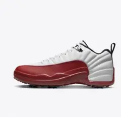 AIR JORDAN 12 LOW 27センチ