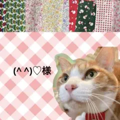 猫首輪 すいかリボン ＋セーフティバックル ⑨ A1-2-b