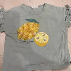 OIML-FAM フリル袖レモンTシャツ 100cm