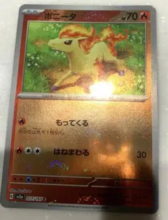 ポニータ モンスターボールミラー