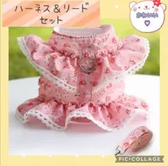 Item thumbnail for item 8434dae2-5e32-46d7-aa5f-77844b4266ba