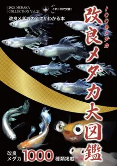 2024年度版 改良メダカ大図鑑 100年メダカ