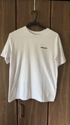 Patagonia T-shirt パタゴニア　Tシャツ　Mサイズ