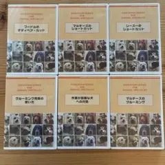 ヒューマンアカデミー トリマー講座 DVD