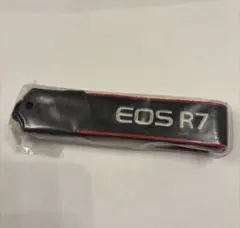 Item thumbnail for item 0ac0ca3a-cc00-44db-853f-eb8eb8284b1e