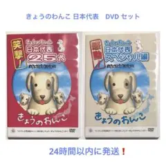 きょうのわんこ 日本代表 25犬 スペシャル編 戌年記念限定版 DVD セット