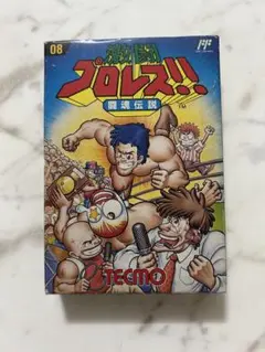 ファミコン　激闘プロレス