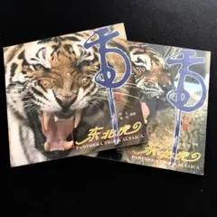 Item thumbnail for item 375d9e5d-27fb-4677-98bd-bedefad655f8