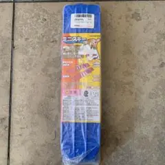 seitaki様専用 キャプテンスタッグ ミニスキー 青