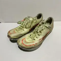 ナイキ　マックスフライ