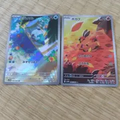 ポケモンカードゲーム　ミジュマル ポカブ ar