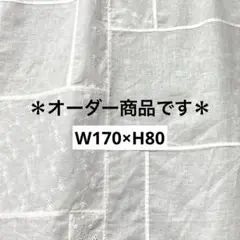 Item thumbnail for item b35f5496-aacd-4d30-bc9e-3cb19ff1d0eb