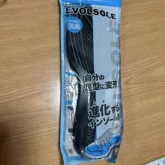 Item thumbnail for item 65f2b48b-301f-4107-96c8-e2fb6b2b2956