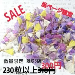 【新品未使用 即購入OK 】大量 沢山 スターチス ドライフラワー レジンに